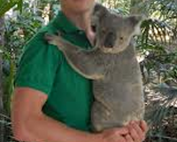 un Koala dans mes bras