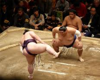 a Sumo fight